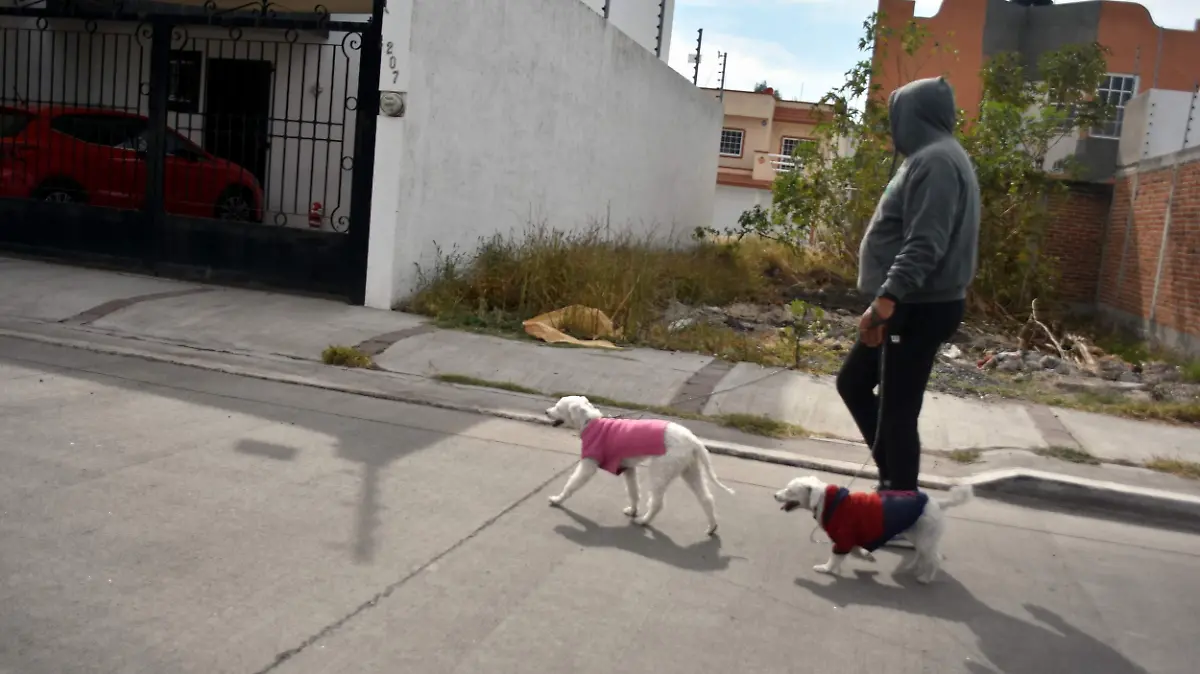 Piden-denunciar-quemas-okokok