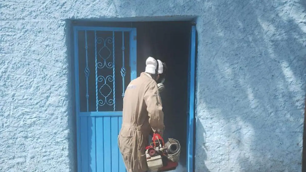 fumigan panteones en Jaral 1