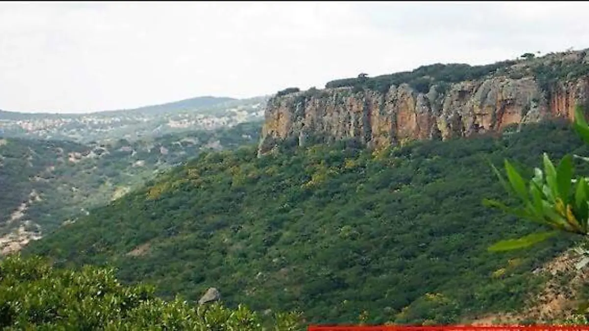 SEMARNAT-CONCRETAR (3)