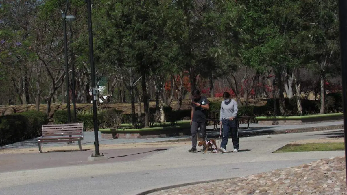 PODRÍAN CERRAR ECOPARQUE MUNICIPAL DURANTE DÍAS SANTOS 2
