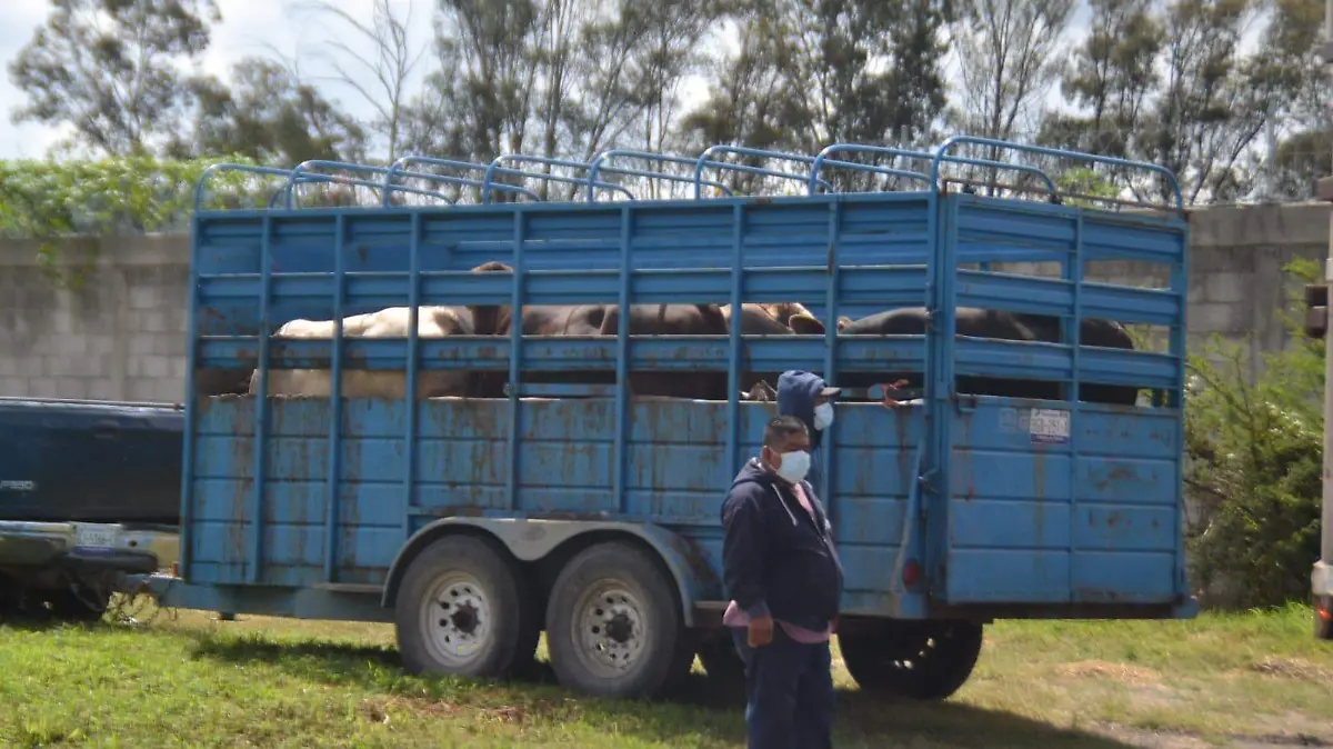 DENUNCIAN FALLAS EN MAQUINA DEL RASTRO MUNICIPAL 1