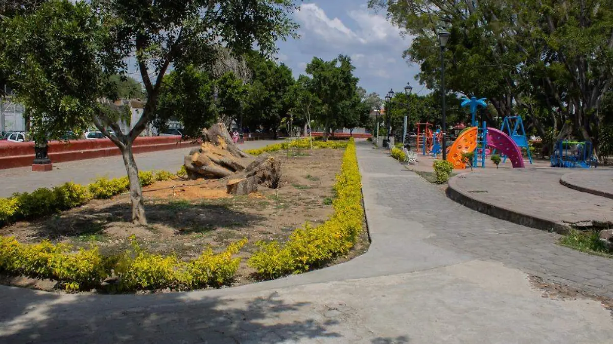 La Alameda de Valle 1