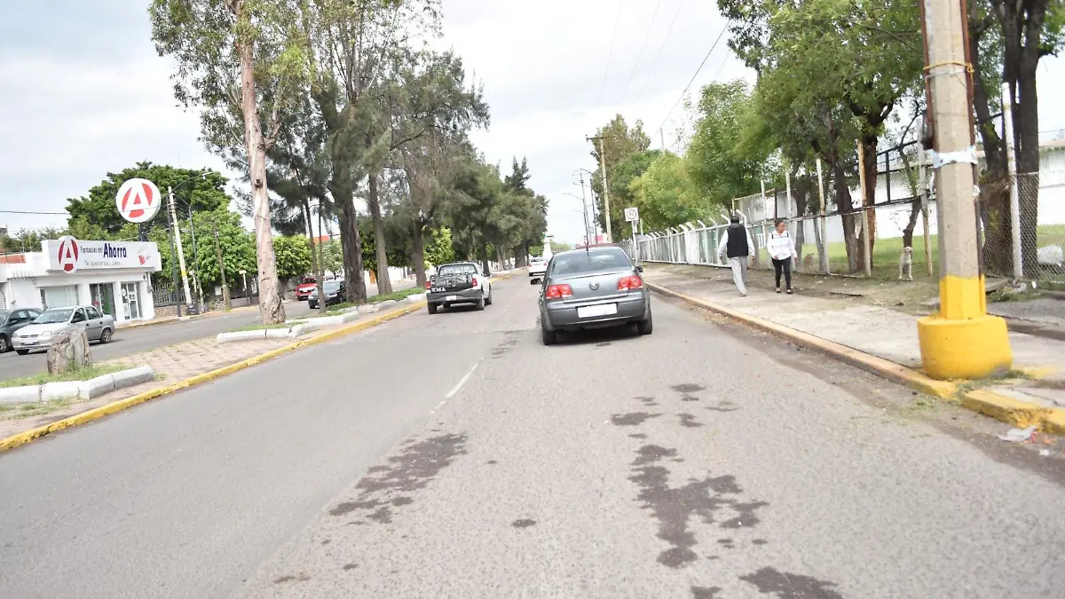 Calle (1)