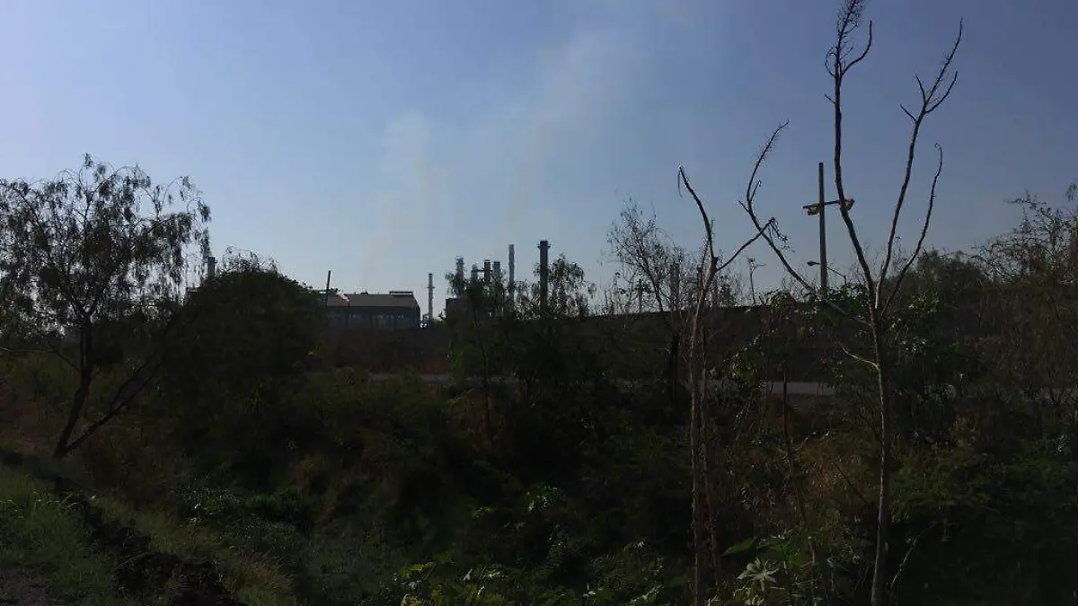 WhatsApp Image 2018-04-27 at 10.08.33 AM