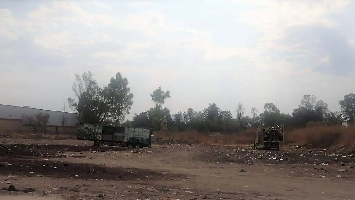 DEJAN JUEGUEROS BASURA 2