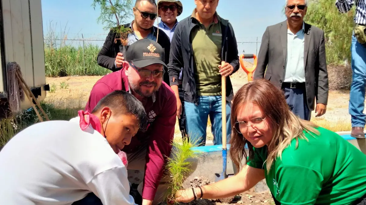 Reforestacion (4)
