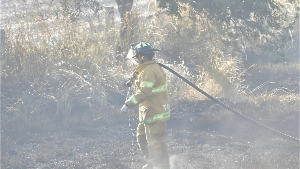 INCREMENTAN INCENDIOS POR QUEMA DE PASTIZALES  (2)