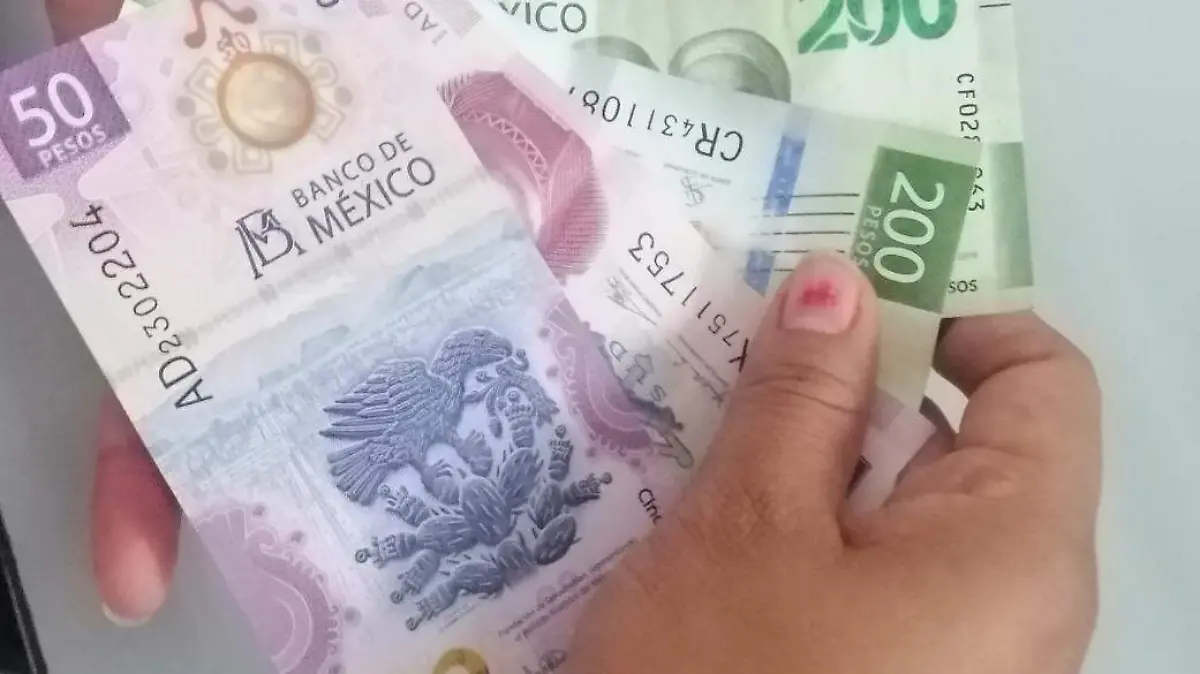 EXHORTA A REALIZAR COMPRAS INTELIGENTES PARA FIN DE AÑO 1