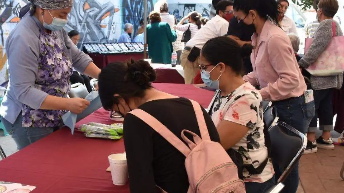 Acerca-Instituto-de-la-Mujer