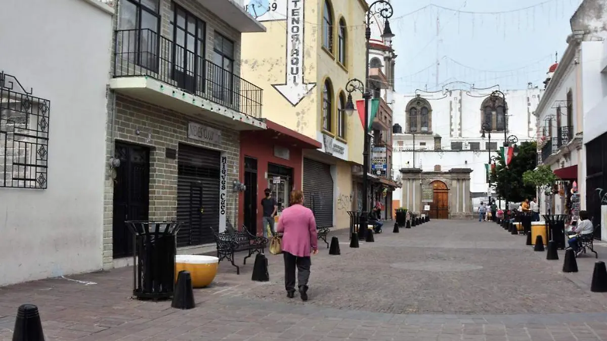 AEES SEGUIRA TRABAJANDO PARA REACTIVAR SALAMANCA (2)