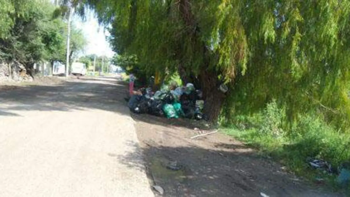LLUVIASok