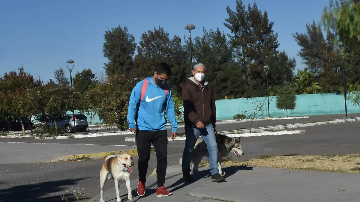 ARRANCAN CAMPANA DE ADOPCION DE CANES EN SALAMANCA  (2)