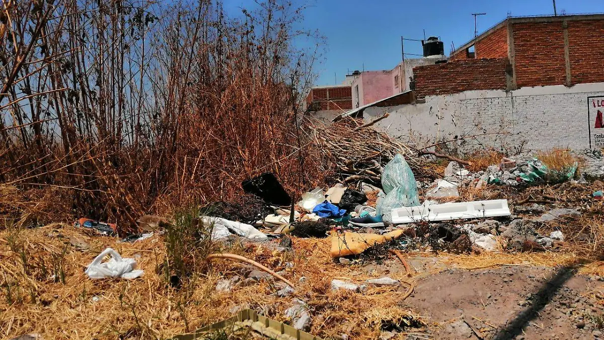 Piden el mantenimiento de un predio