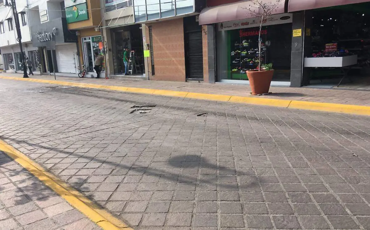 BACHES (1)