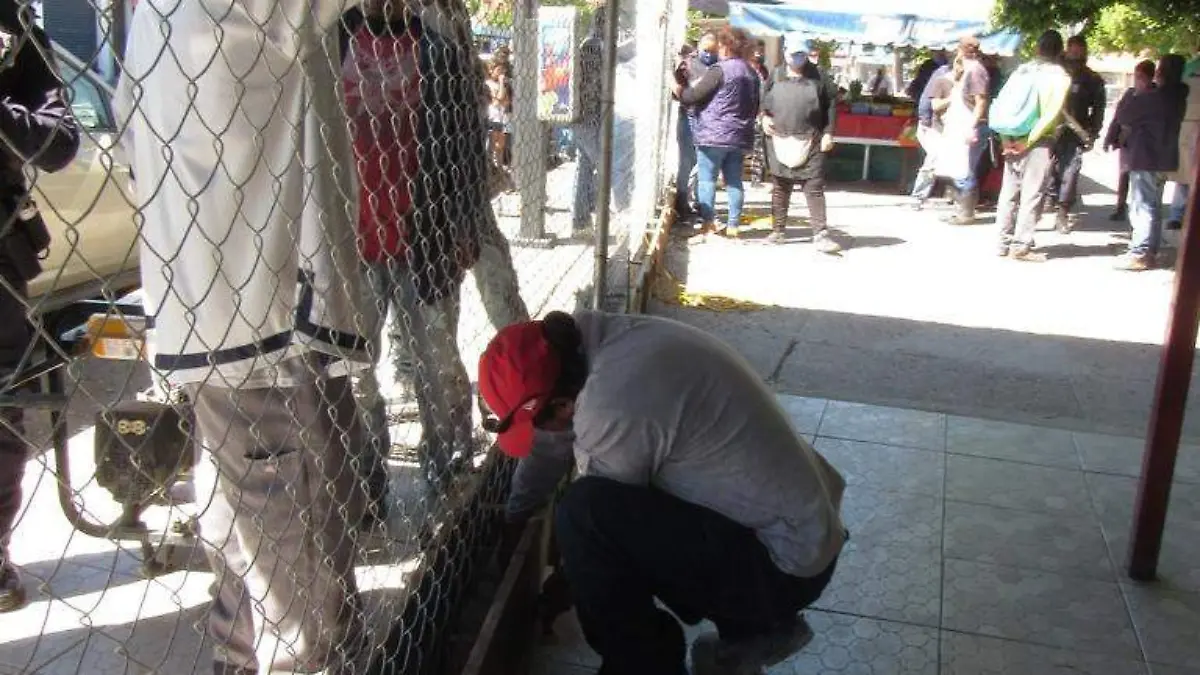 WhatsApp Image 2020-10-07 at 8.29.23 PM