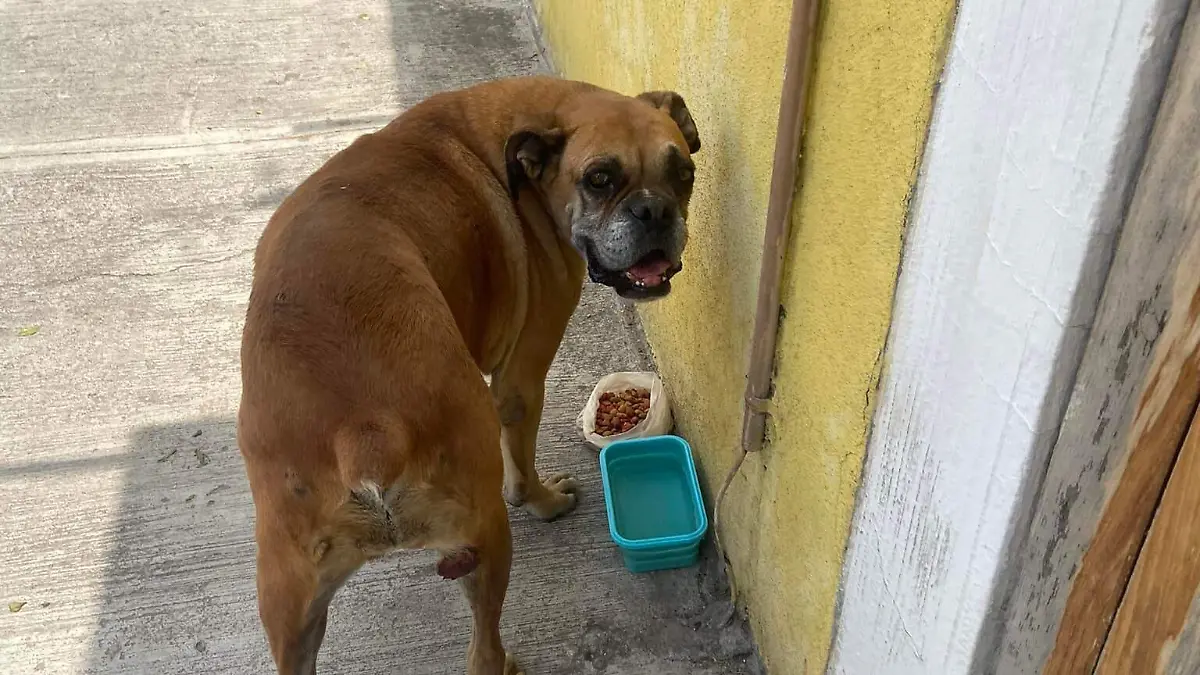 Taller-Con-Causa-2-ok