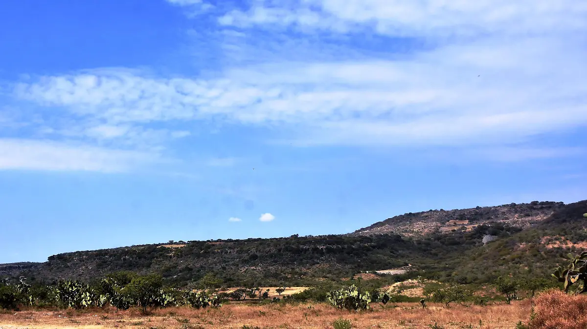 SEMARNAT-CONCRETAR (2)