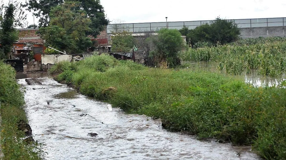 Familias evacuan viviendas por desbordamiento de Arroyo Feo  1