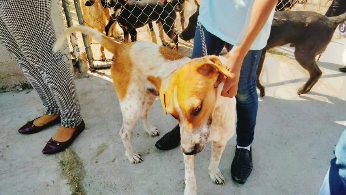 Image 2023-01-12 at 8.09.19 PM