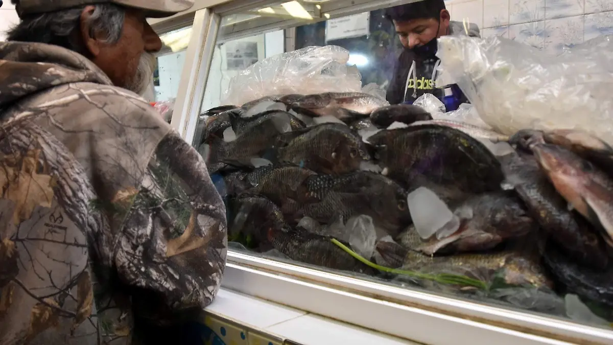 pescados 1