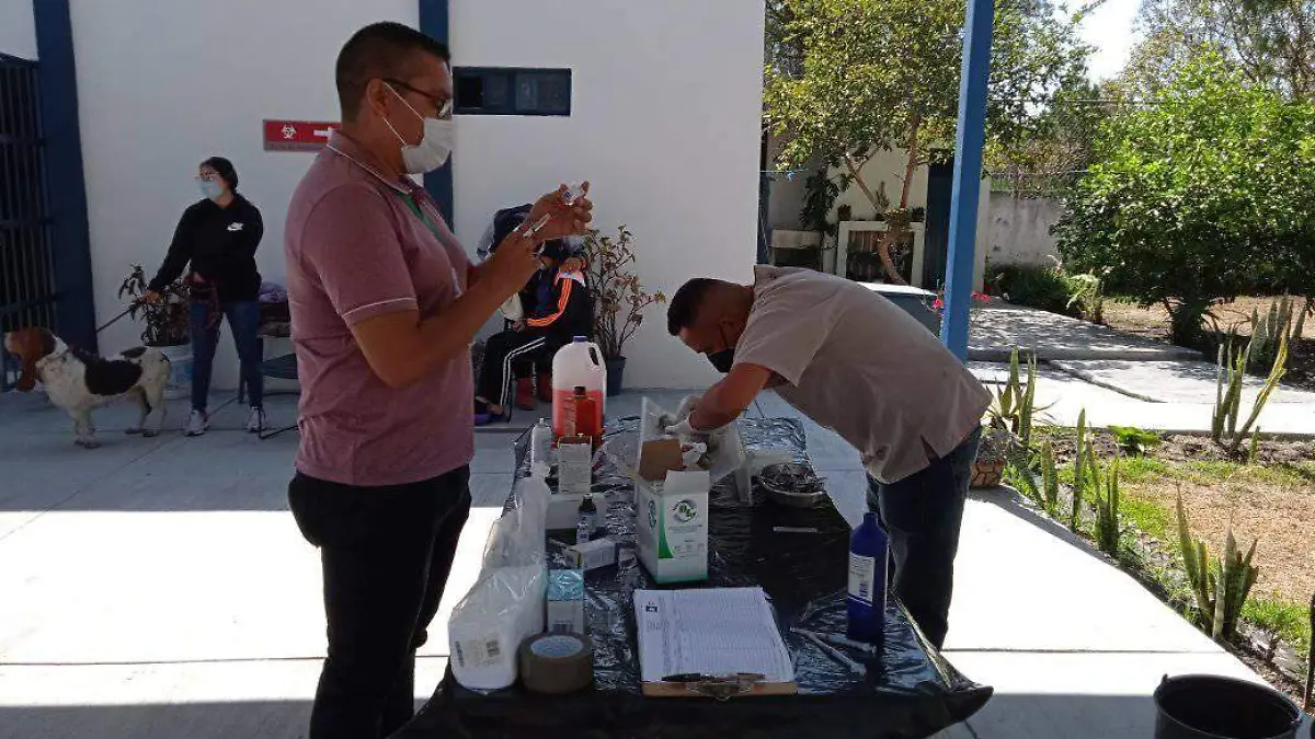 esterilizaciòn en Jaral 2