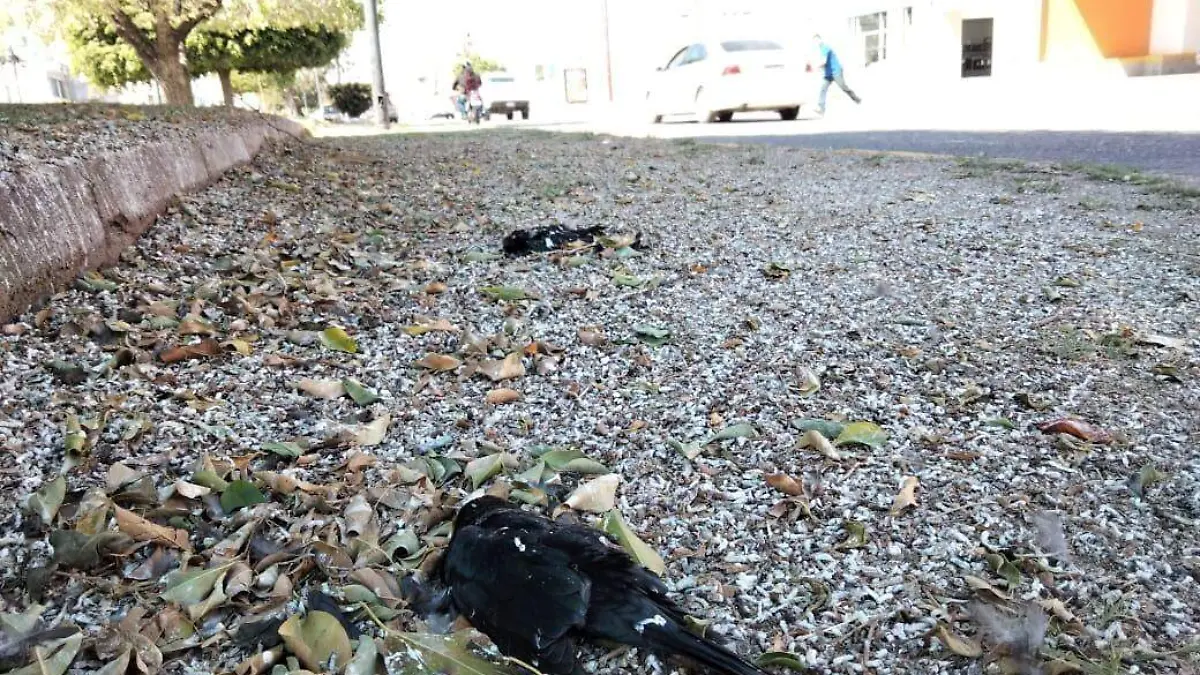 54f88af3-a1da-4c4b-b4f3-316bd77a4d5f