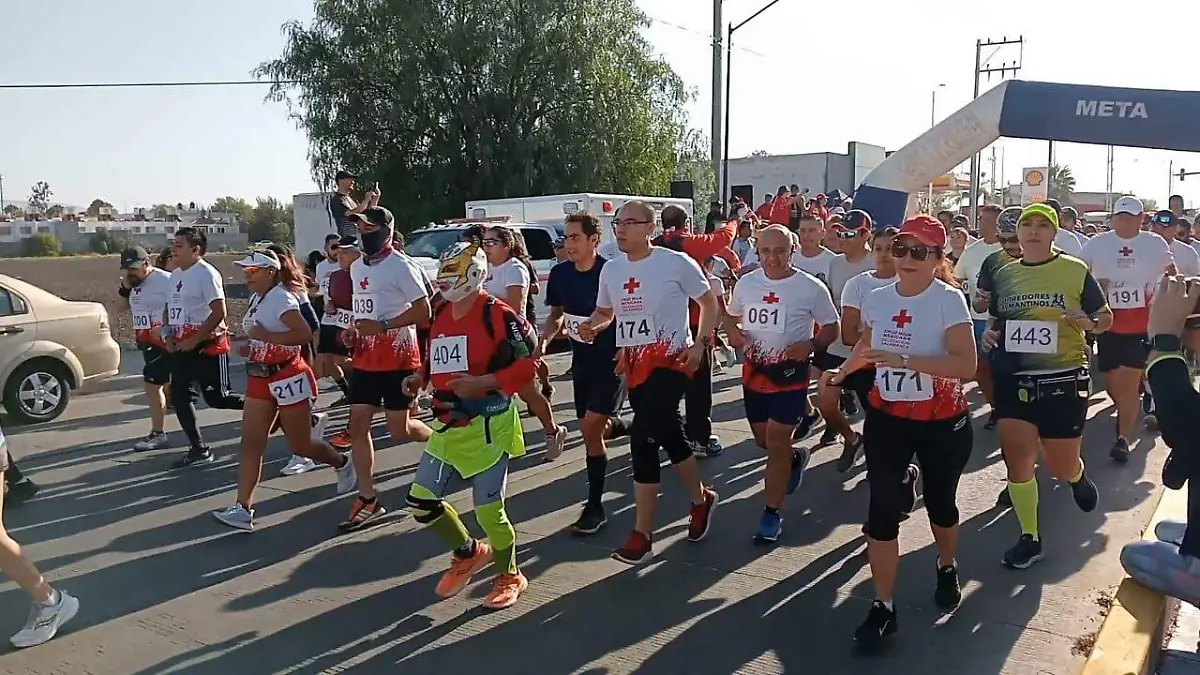 c9795603-b79b-494e-9f3a-6da9396feb33