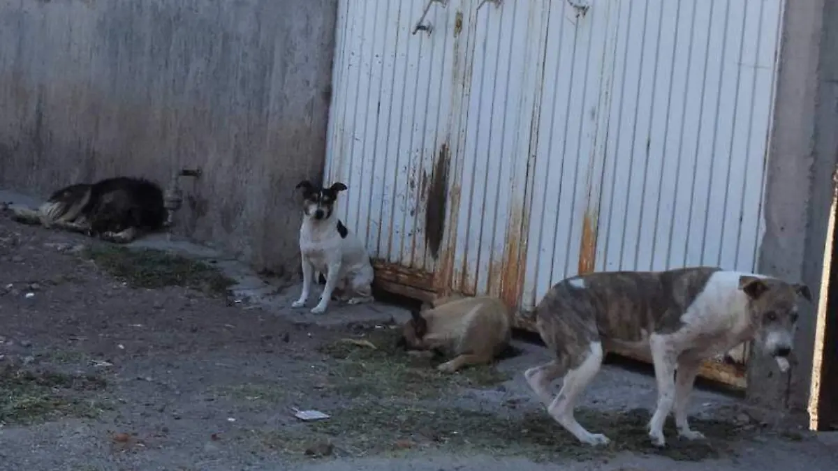 916bc469-69c6-4823-a6a5-cfb49b9884bb