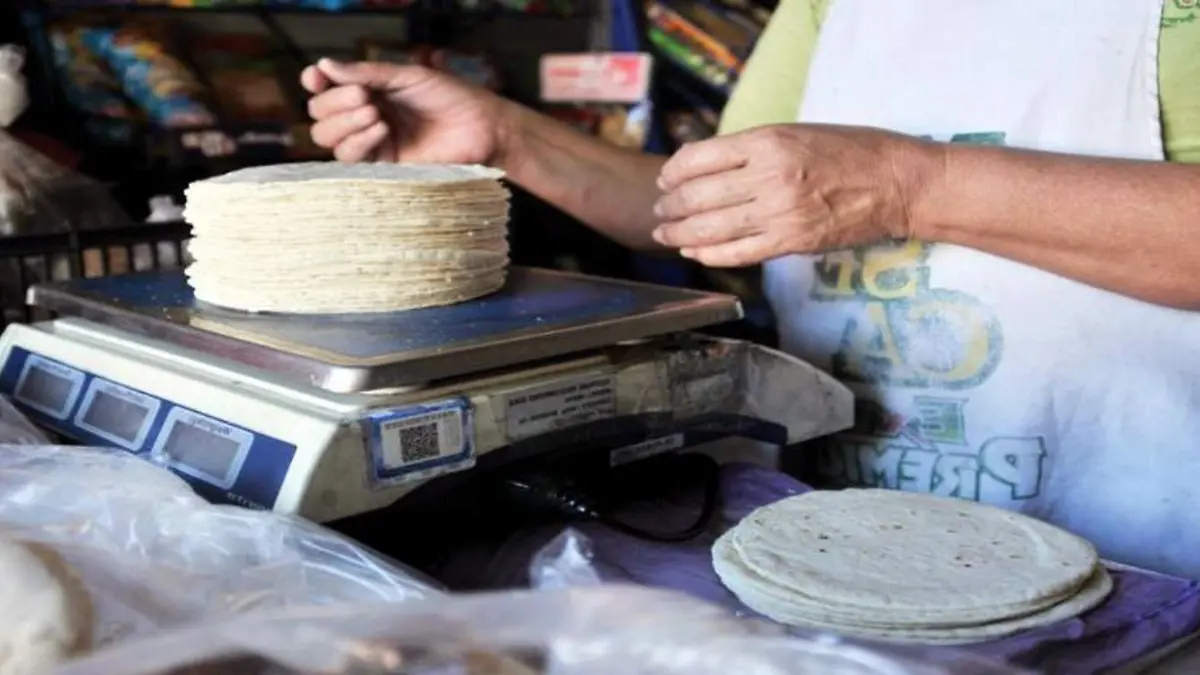 INCREMENTO DE LA TORTILLA ES UN HECHO 1