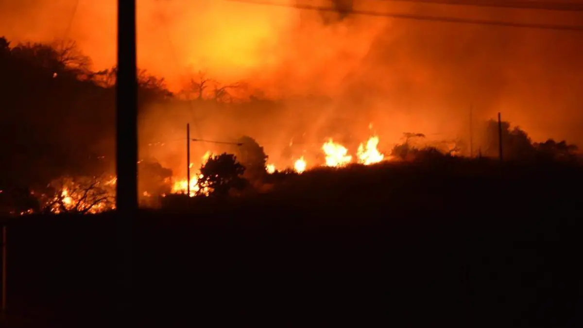 GENERA DANOS A LA ECOLOGIA, INCENDIO EN CERRO DE LAS ANTENAS  (1)