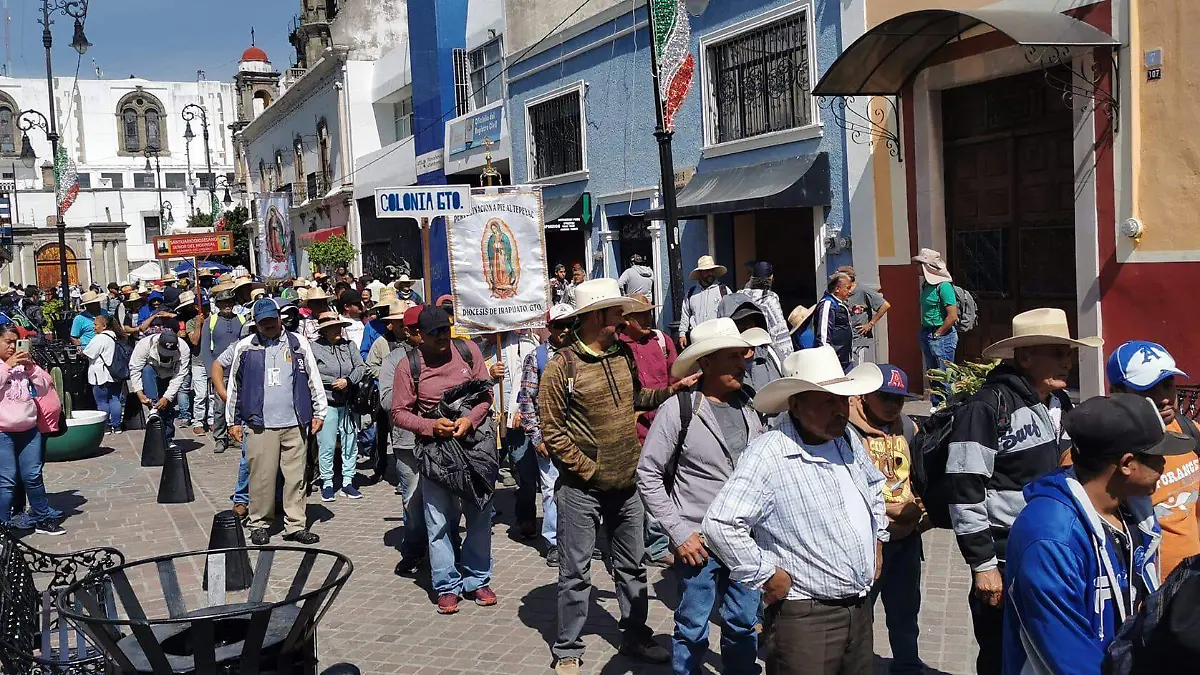 peregrinos (5)
