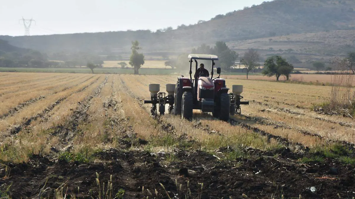 DEJAN CAMPESINOS DE ESTABLECER TRIGO CNC 2