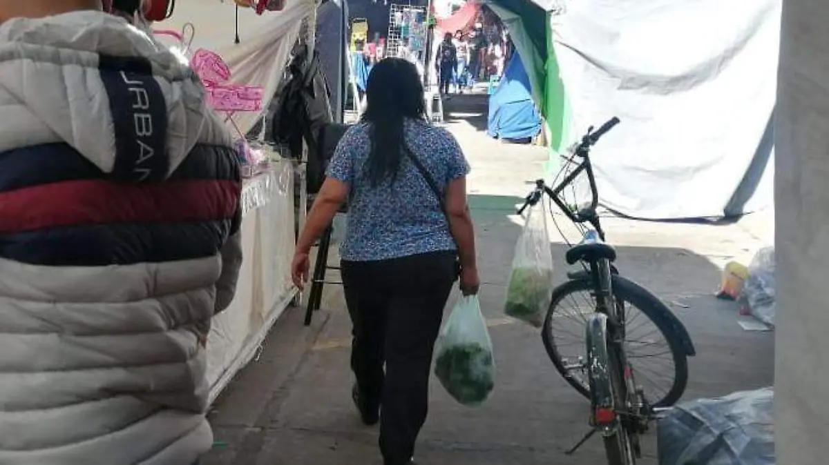 Pequeños-comercios-siguen-entregando-bolsas-plásticas