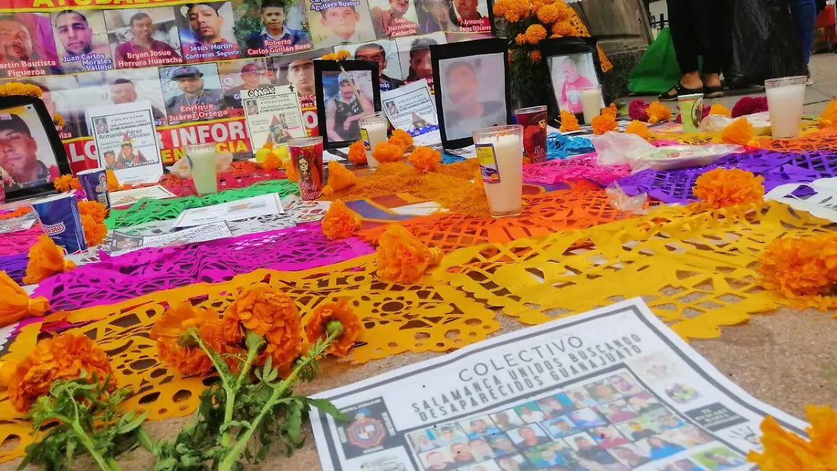 13aa8433-b5ac-4464-9730-dcf3aef55ac4