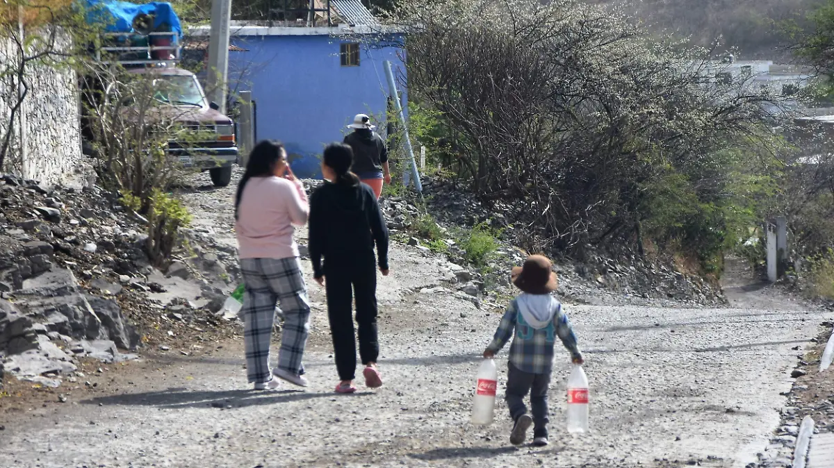 COMITES (2)