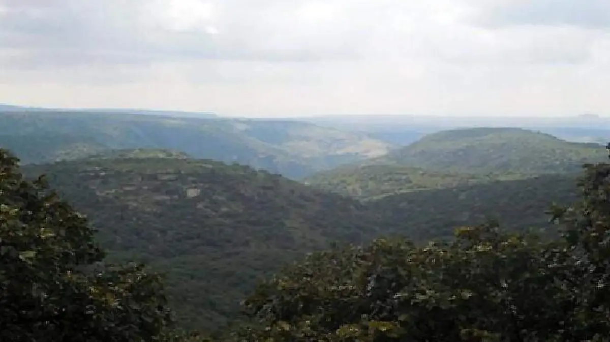 Minera ubicada en ANP cuenta con permiso de exploración   1