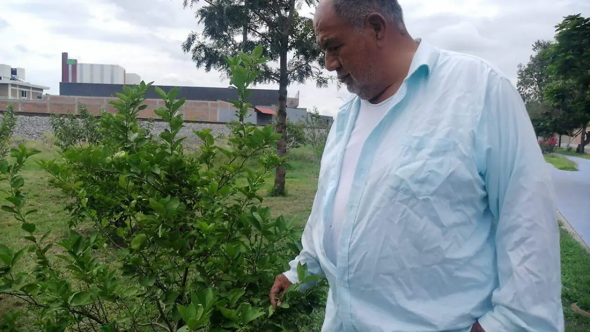 WhatsApp Image 2022-07-25 at 6.24.52 PM