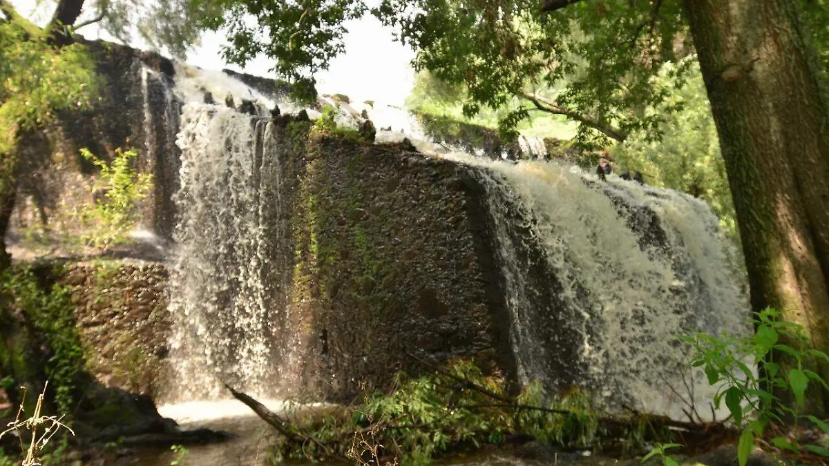 8ab1674c-2a31-4be1-ab29-30ac5a176106