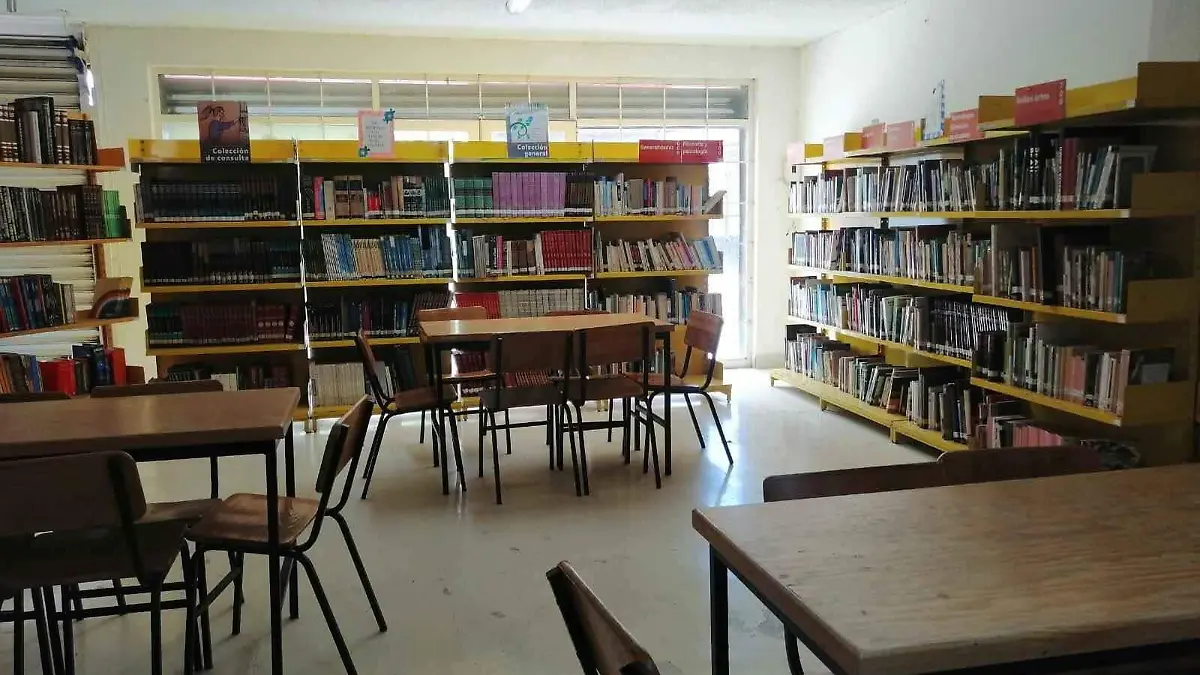 Cuentan-con-una-zona-para-niños