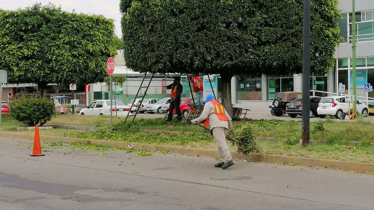 ADMINISTRACIÓN PASADA DEJA REZAGO DE SOLICITUDES DE MANTENIMIENTO A ÁREAS VERDES 1