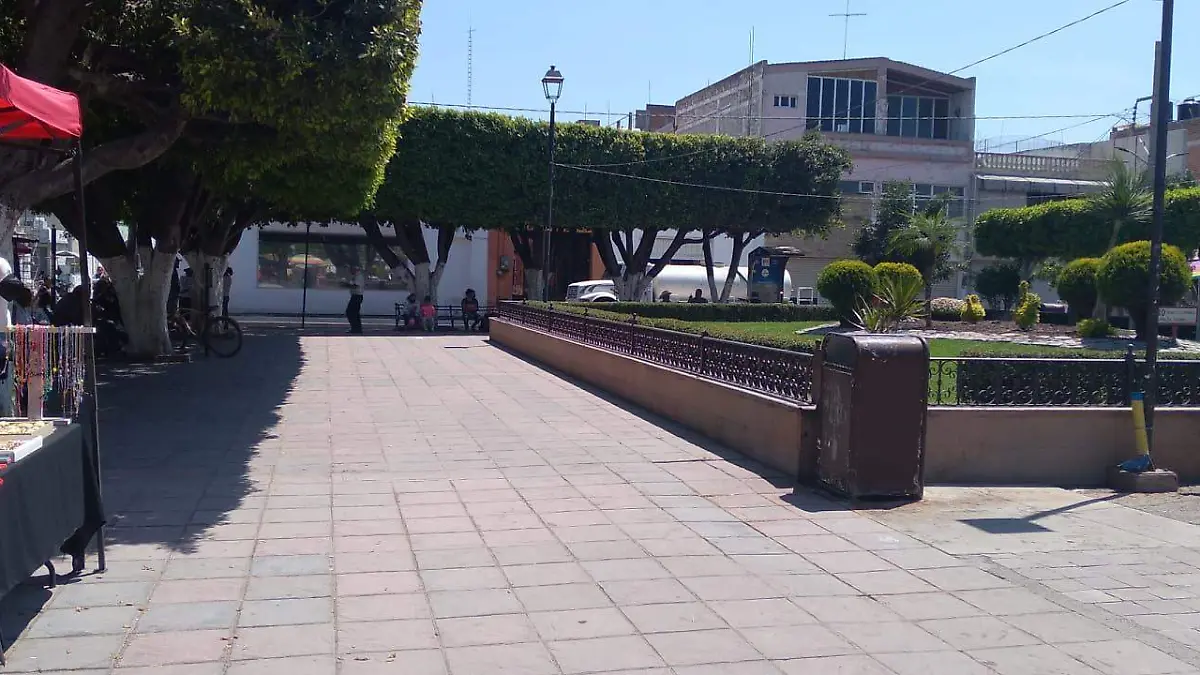 jardin 1