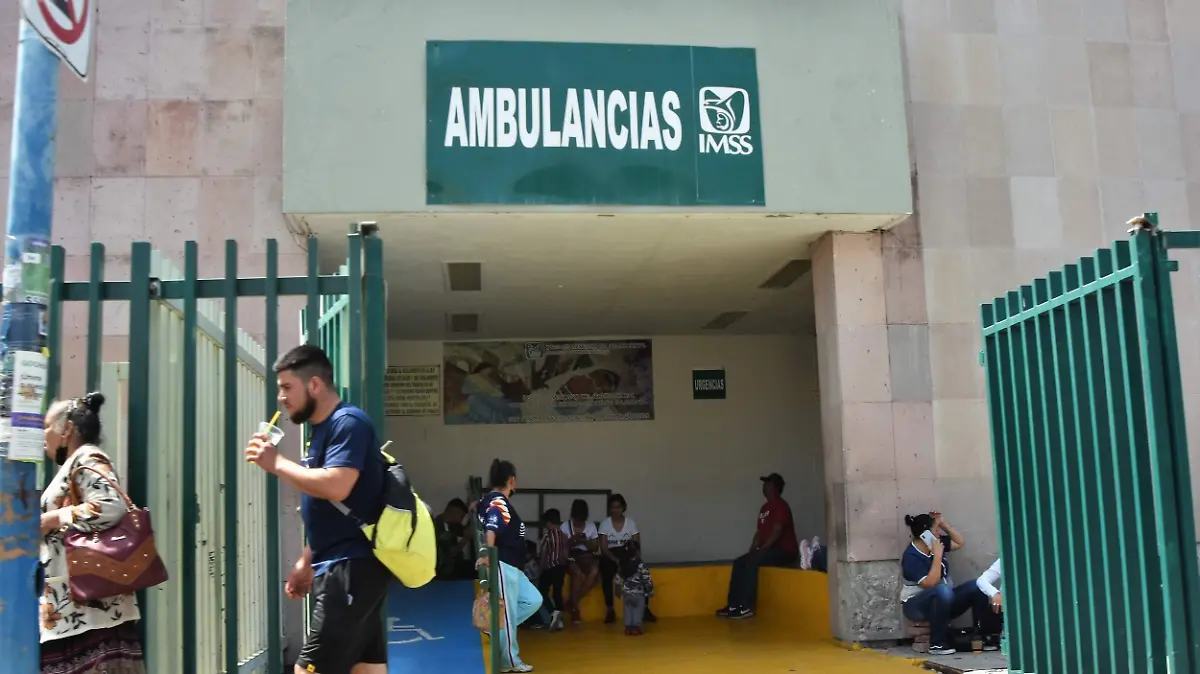 Imss (3)
