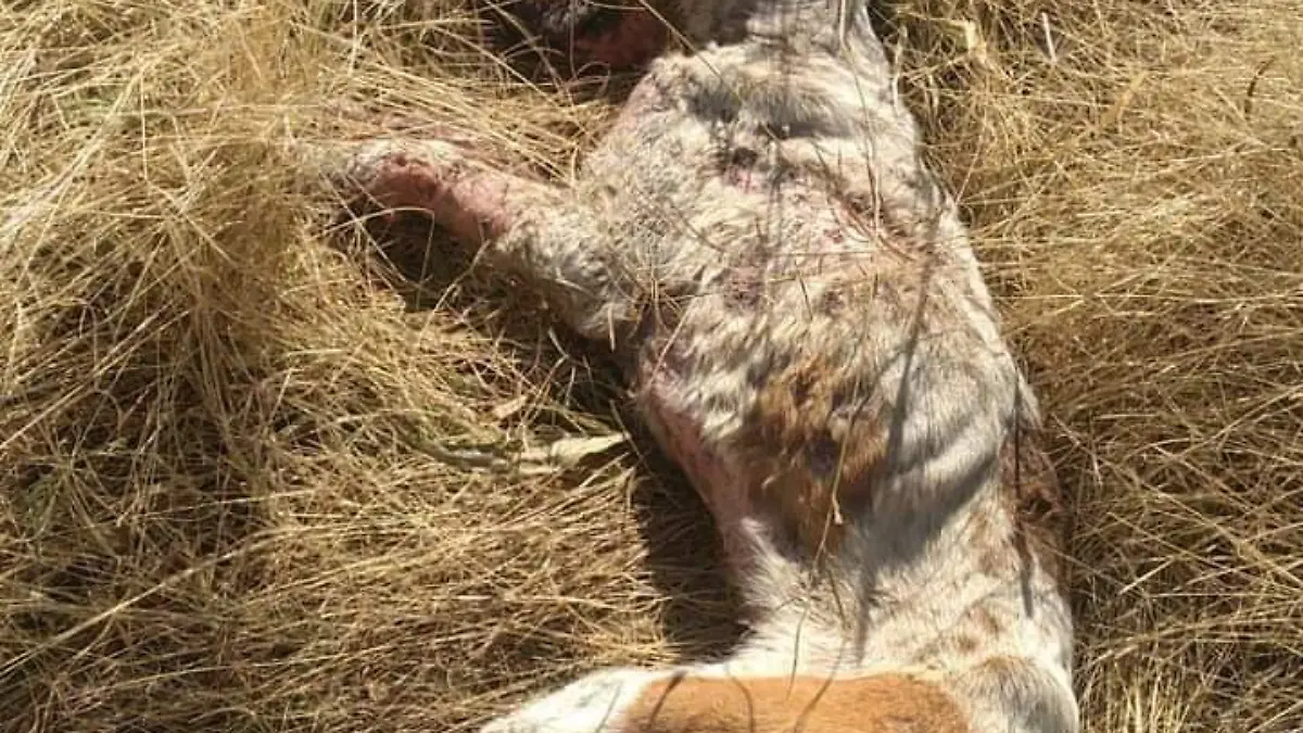 Image 2023-01-12 at 8.10.01 PM