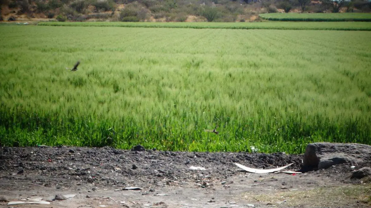 APERTURA DE PRESA SOLIS BENEFICIO PARA CAMPESINO Y POBLACIÓN 1
