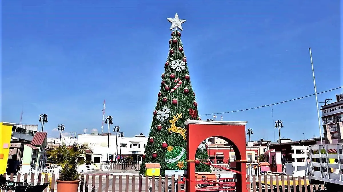 Preparan  pino navideño  3