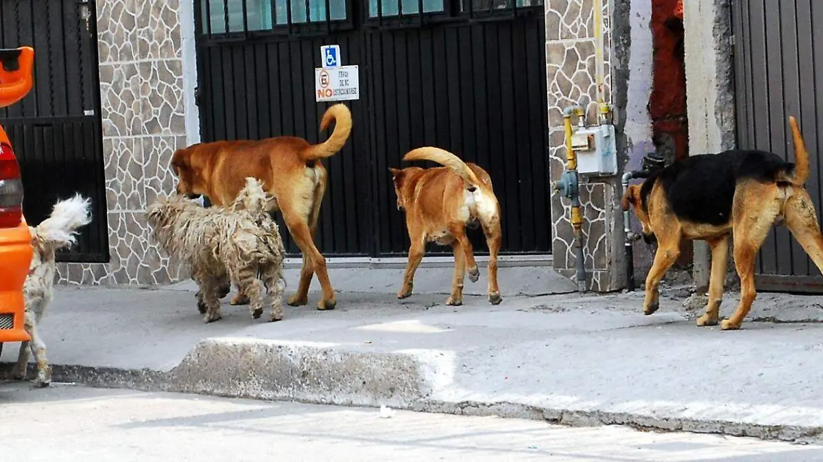 WhatsApp Image 2022-06-14 at 6.59.34 PM