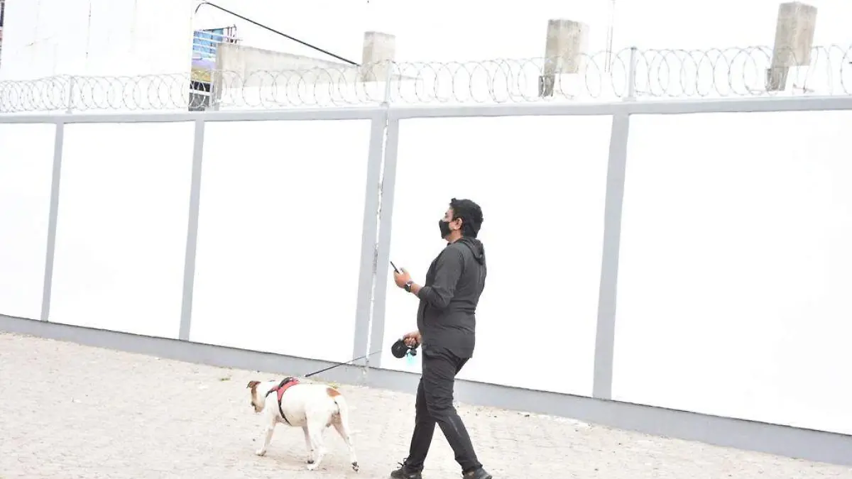 CRECE CULTURA DE ADOPCIÓN DE ANIMALES 2