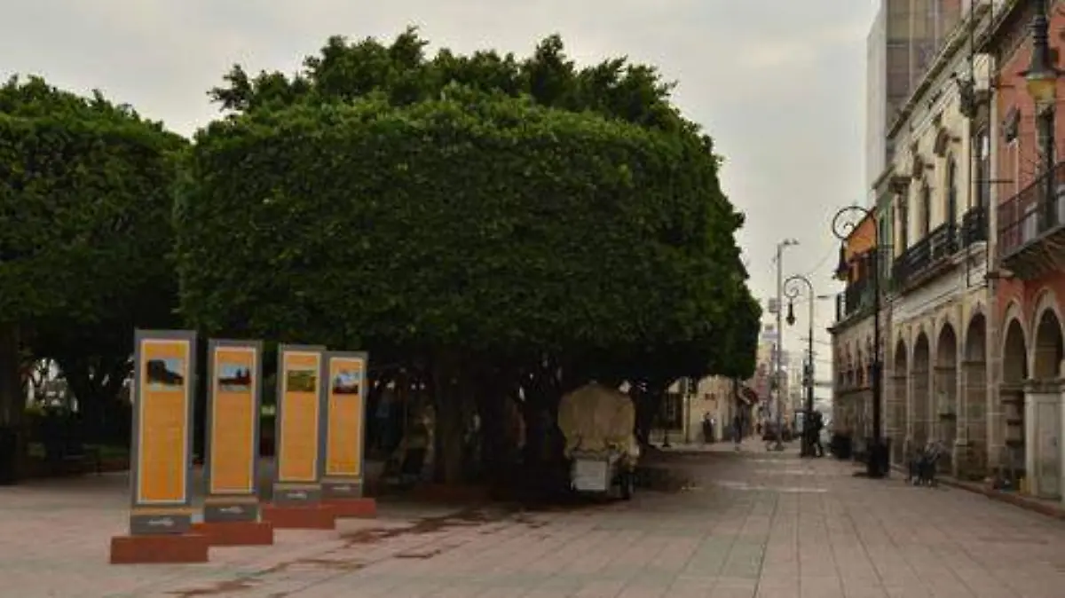 JARDÍN  (3)