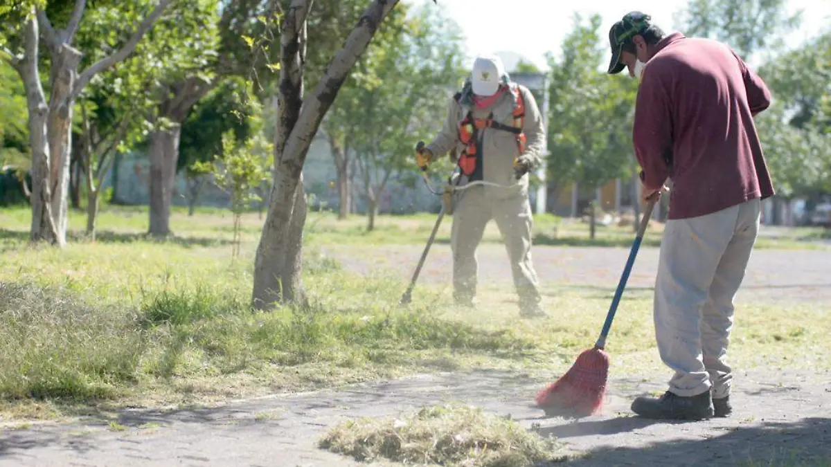 Emprenden trabajos de limpieza y poda de árboles  2