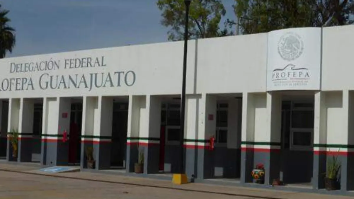 Guanajuato incertidumbre en delegaciones federales de Guanajuato ante posibles recortes 2